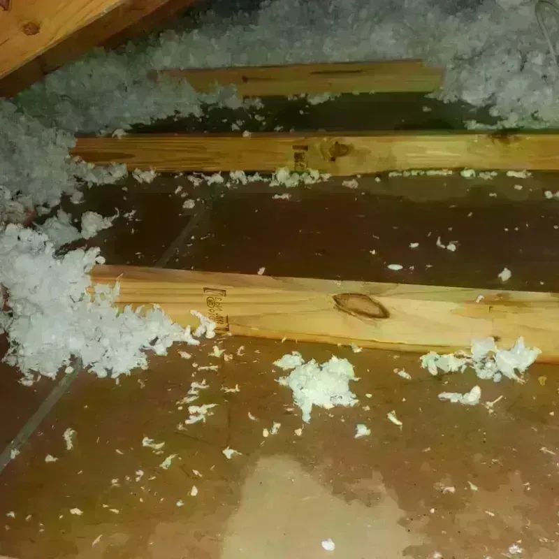 Attic Water Damage in Mount Vernon, GA