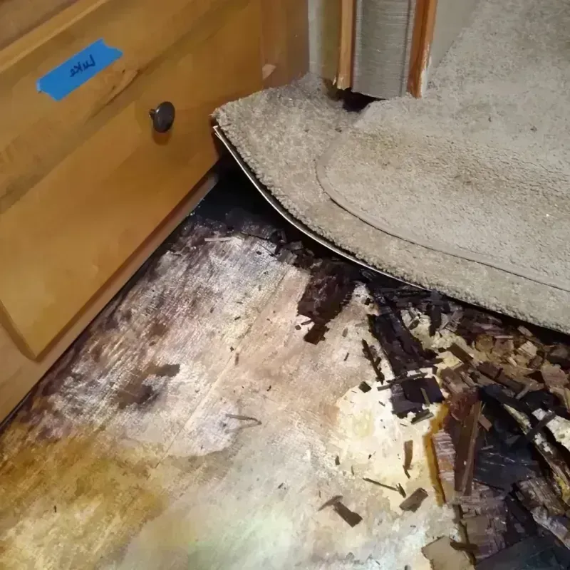 Wood Floor Water Damage in Mount Vernon, GA